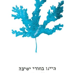 היינו בחורי ישיבה, היה קיץ