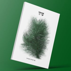 שִׁוִיתִי / צבי שטיינר