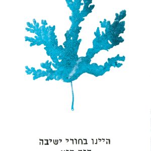 היינו בחורי ישיבה, היה קיץ