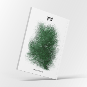 שִׁוִיתִי / צבי שטיינר