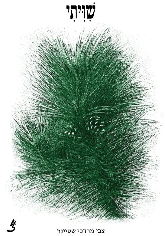 3-Noam