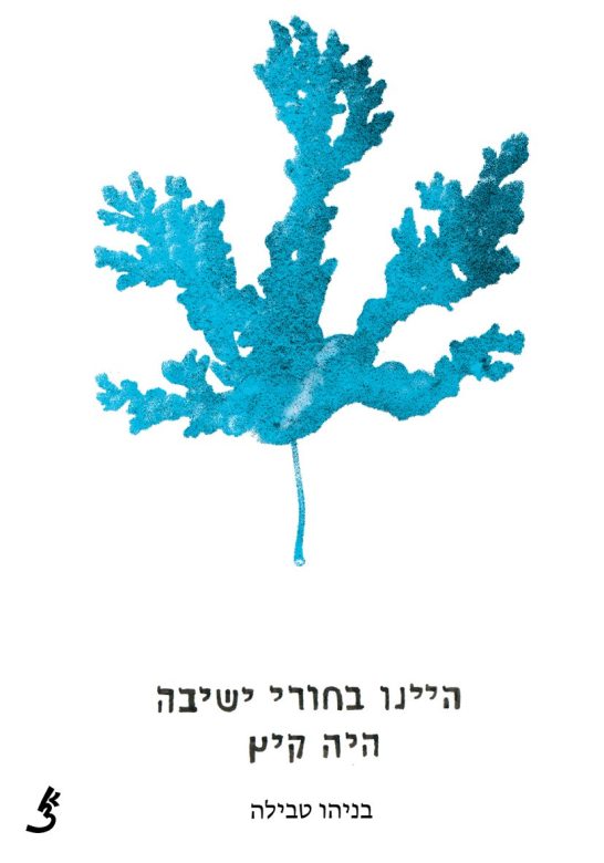 3-Noam