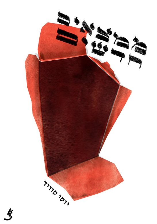 3-Noam